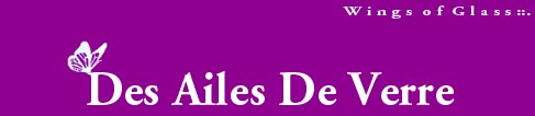 de verre ailes : wings of glass