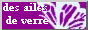 des ailes de verre